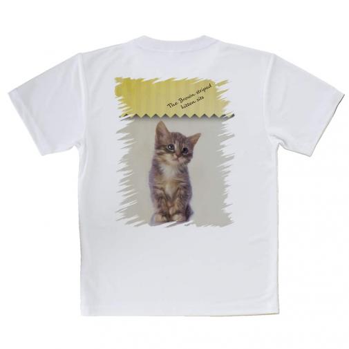 【Tシャツ】kitten sits　座る子猫