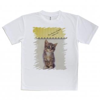 【Tシャツ】kitten sits　座る子猫