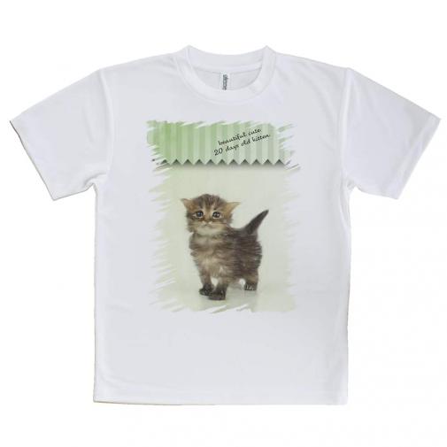 【Tシャツ】生後20日の可愛い子猫 イラスト