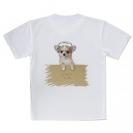 【Tシャツ】チワワだってNo Music No Life