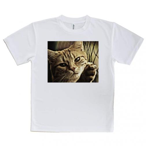 【Tシャツ】ビンテージな猫