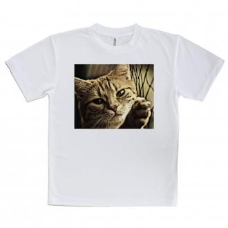 【Tシャツ】ビンテージな猫