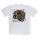 【Tシャツ】ニャンモナイト