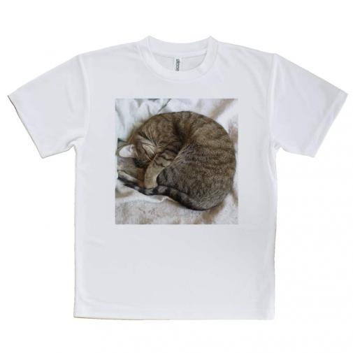 【Tシャツ】ニャンモナイト