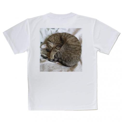 【Tシャツ】ニャンモナイト