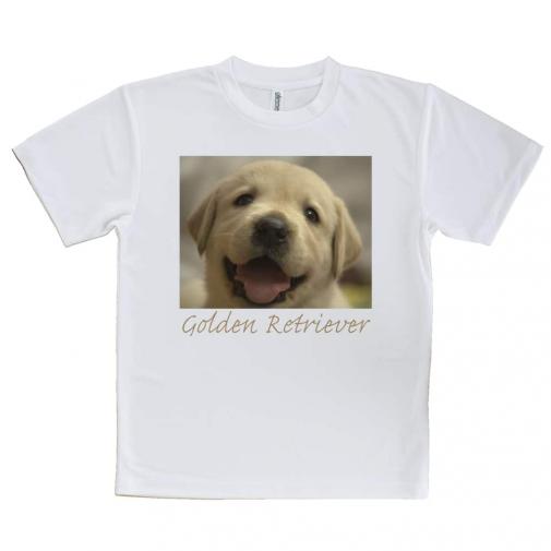 【Tシャツ】ゴールデンレトリバーの子犬