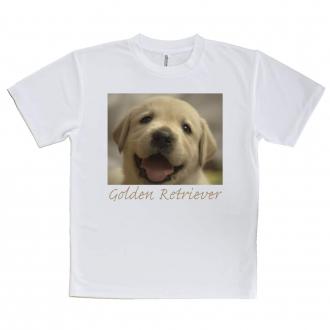 【Tシャツ】ゴールデンレトリバーの子犬