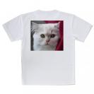 【Tシャツ】猫のアップ