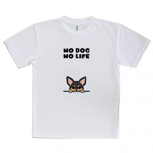 【Tシャツ】何か気になるチワワ_ブラックタン(wakat)