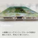 【TPU】チンアナゴ