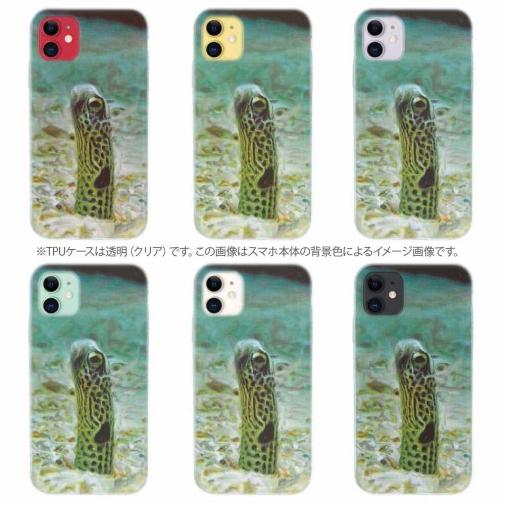 【TPU】チンアナゴ