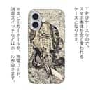 【TPU】エギングでアオリイカ