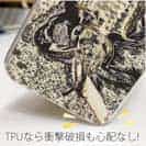 【TPU】エギングでアオリイカ