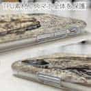 【TPU】エギングでアオリイカ