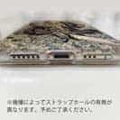 【TPU】エギングでアオリイカ