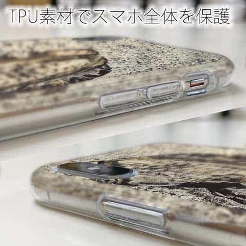 【TPU】エギングでアオリイカ