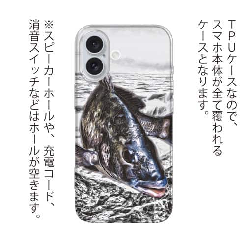 【TPU】精悍なクロダイ(チヌ)