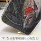 【TPU】ニジマス降海型