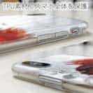 【TPU】カサゴ幼魚