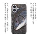 【TPU】荒武者クロダイ(チヌ)