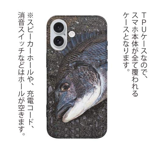 【TPU】荒武者クロダイ(チヌ)