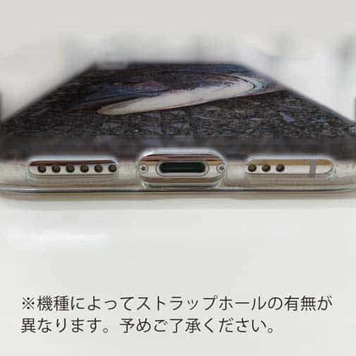 【TPU】荒武者クロダイ(チヌ)