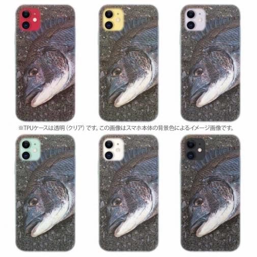 【TPU】荒武者クロダイ(チヌ)