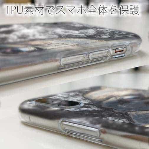 【TPU】イシダイの強靭な歯