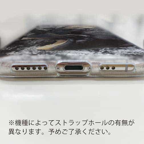 【TPU】イシダイの強靭な歯