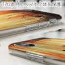 【TPU】サンセットでボート釣り