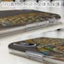 【TPU】エギングにアオリイカ