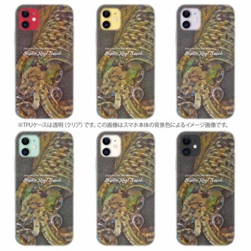 【TPU】エギングにアオリイカ