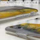 【TPU】南米の怒り・ドラド