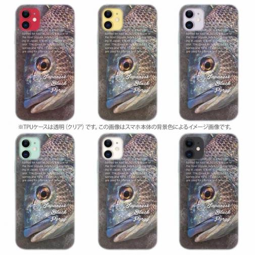 【TPU】クロダイ(チヌ)の目