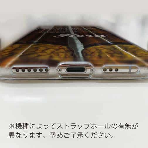 【TPU】ヘラブナ釣り