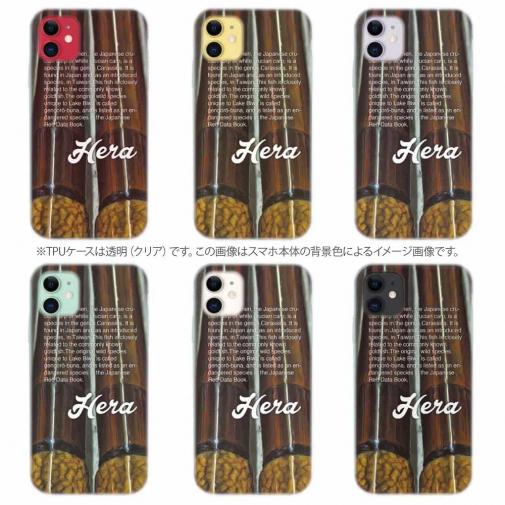 【TPU】ヘラブナ釣り