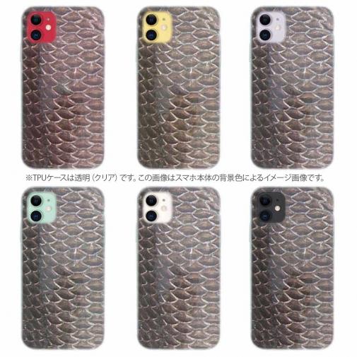 【TPU】クロダイ鱗