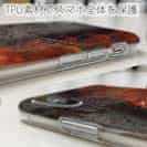 【TPU】淡水の妖魚アロワナ