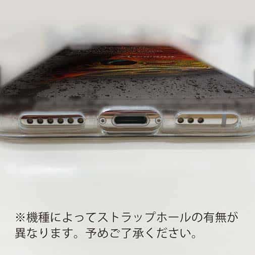 【TPU】淡水の妖魚アロワナ