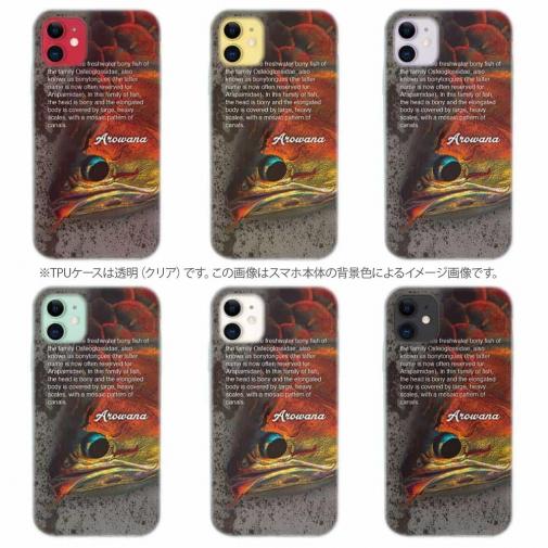 【TPU】淡水の妖魚アロワナ