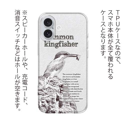 【TPU】川の狩人カワセミ