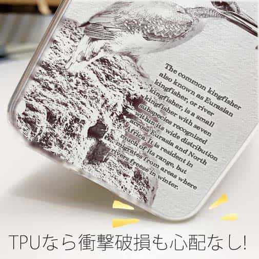 【TPU】川の狩人カワセミ