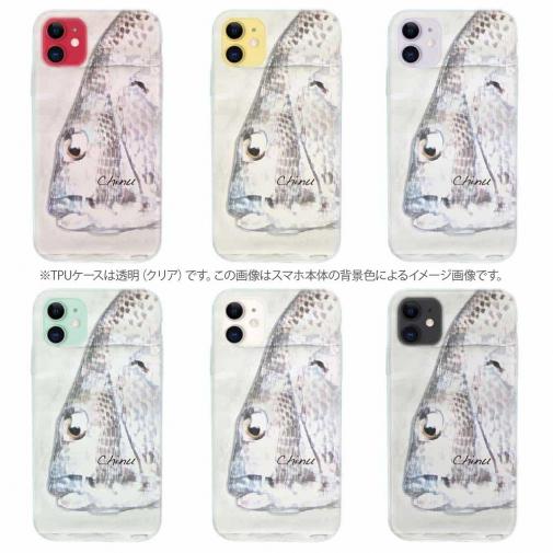 【TPU】クロダイ(チヌ)手書き風