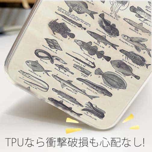 【TPU】魚図鑑　1890年版