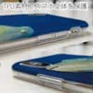 【TPU】水中　ナポレオンフィッシュ