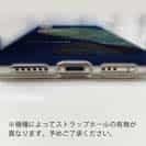 【TPU】水中　ナポレオンフィッシュ