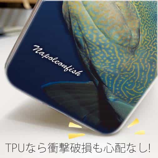 【TPU】水中　ナポレオンフィッシュ