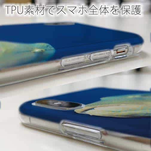 【TPU】水中　ナポレオンフィッシュ