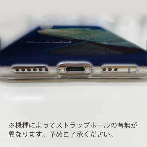 【TPU】水中　ナポレオンフィッシュ