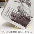 【TPU】源流の番人ヤマセミ